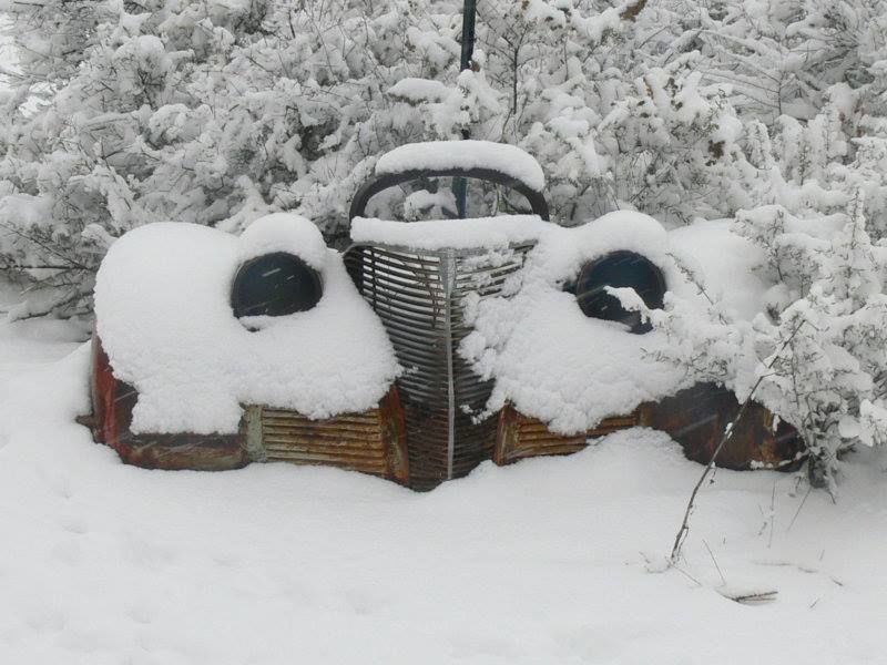 Snow in Elfrida